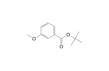 Benzoic acid, 3-methoxy-, 1,1-dimethylethyl ester