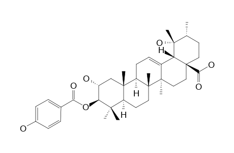 3-BETA-PARA-HYDROXYBENZOYLOXY-TORMENTIC-ACID;3-BETA-(PARA-HYDROXYBENZOYLOXY)-2-ALPHA-HYDROXY-URS-12-EN-28-OIC-ACID