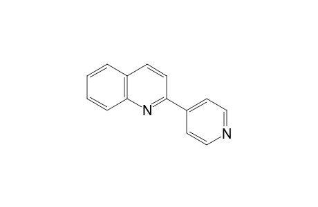 2-(4-Pyridyl)quinoline