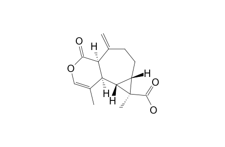 PLAGIOCHILIDE-12-OIC-ACID