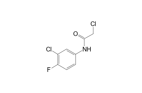 2,3'-dichloro-4'-fluoroacetanilide