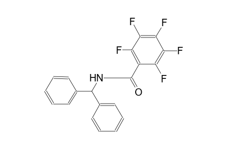 N-benzhydryl-2,3,4,5,6-pentafluorobenzamide