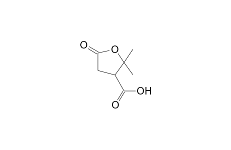 2,2-Dimethyl-5-oxotetrahydro-3-furoic acid