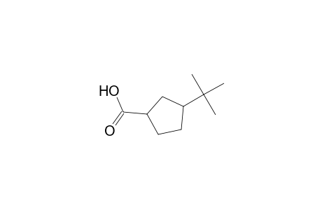 3-tert-Butyl-1-cyclopentanecarboxylic acid