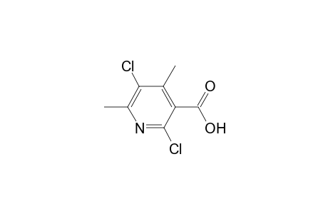 2,5-Dichloro-4,6-dimethylnicotinic acid