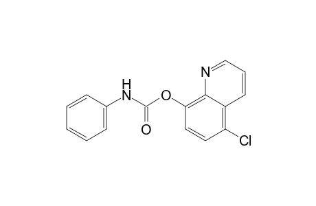 5-chloro-8-quinolinol, carbanilate (ester)