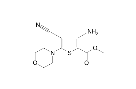 3-amino-4-cyano-5-morpholino-2-thiophenecarboxylic acid, methyl ester