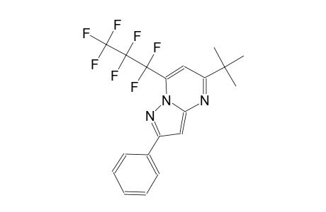 7-HEPTAFLUOROPROPYL-2-PHENYL-5-TERT.-BUTYL-PYRAZOLO-[1,5-A]-PYRIMIDINE