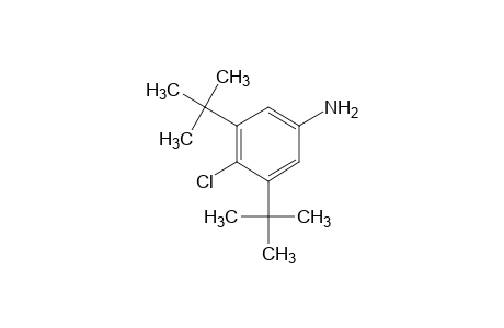 4-CHLORO-3,5-DI-tert-BUTYLANILINE