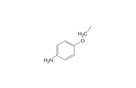 p-Phenetidine