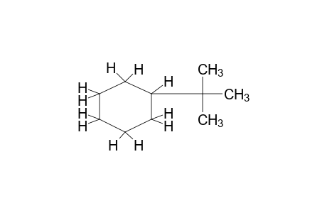 tert-BUTYLCYCLOHEXANE