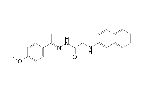 N'-[(E)-1-(4-Methoxyphenyl)ethylidene]-2-(2-naphthylamino)acetohydrazide