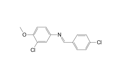 3-Chloro-N-[(E)-(4-chlorophenyl)methylidene]-4-methoxyaniline