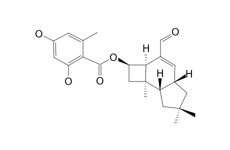 ARMILLARIVIN