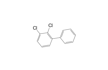 2,3-DICHLOR-BIPHENYL