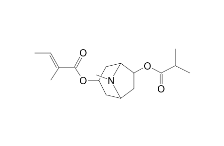 3-Tigloyloxy-6-isobutyryloxytropane