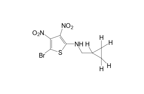 2-bromo-5-[(cyclopropylmethyl)amino]-3,4-dinitrothiophene