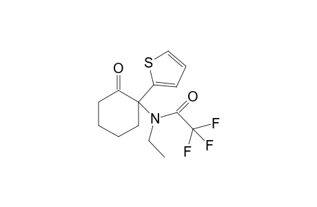 Tiletamine TFA