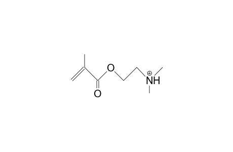 2-Dimethylamino-ethyl methacrylate cation