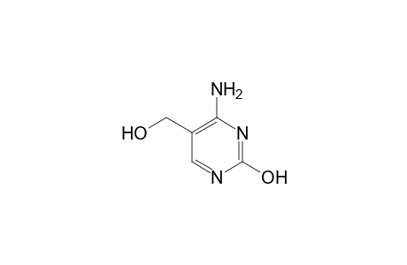 5-Hydroxymethylxytosine