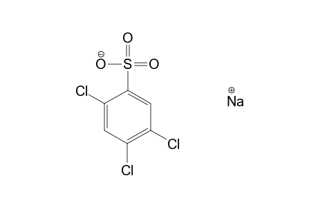 2,4,5-trichlorobenzenesulfonic acid, sodium salt