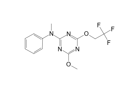 4-methoxy-N-methyl-N-phenyl-6-(2,2,2-trifluoroethoxy)-1,3,5-triazin-2-amine