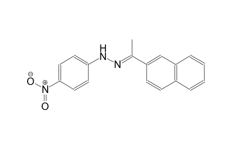 ethanone, 1-(2-naphthalenyl)-, (4-nitrophenyl)hydrazone, (1E)-