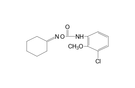 cyclohexanone, O-[(3-chloro-2-methoxyphenyl)carbamoyl]oxime