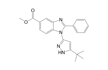 Methyl 1-(5-tert-butyl-1H-pyrazol-3-yl)-2-phenyl-1H-benzo[d]imidazole-5-carboxylate