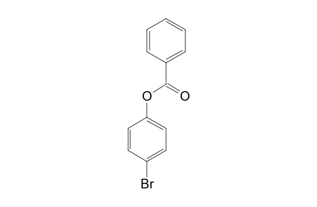 benzoic acid, p-bromophenyl ester