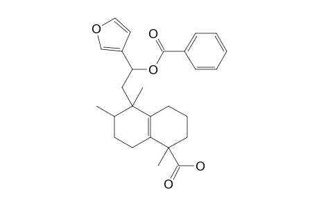 12-BENZOYLOXY-CROTOHALIMANEIC_ACID