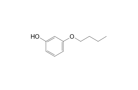 m-Buoxyphenol