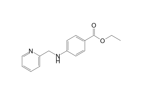 p-{[(2-pyridyl)methyl]amino}benzoic acid, ethyl ester