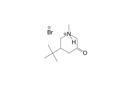 piperidinium, 3-(1,1-dimethylethyl)-1-methyl-5-oxo-, bromide