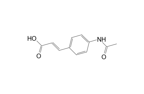 (2E)-3-[4-(acetylamino)phenyl]-2-propenoic acid