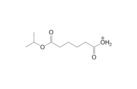 Isopropyl adipate MS3_1