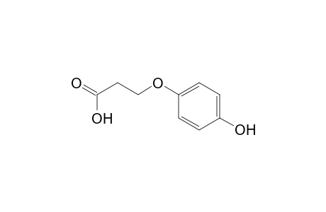 3-(4-Hydroxyphenoxy)propionic acid