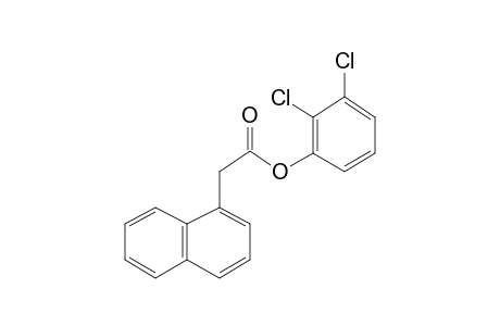 1-Naphthaleneacetic acid, 2,3-dichlorophenyl ester