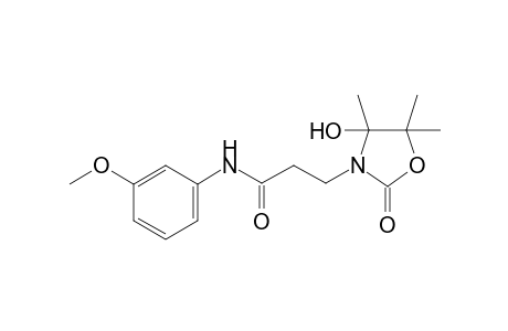 3-(4-hydroxy-4,5,5-trimethyl-2-oxo-1,3-oxazolidin-3-yl)-N-(3-methoxyphenyl)propanamide