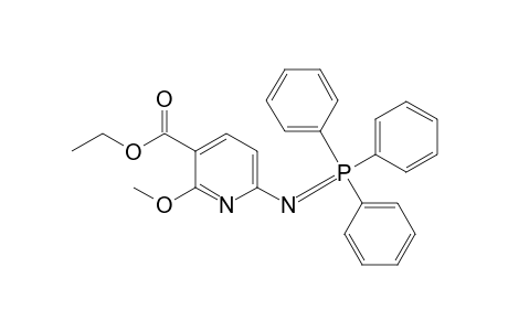 3-carboethoxy-2-methoxy-6-[(triphenyl-.lambda.5-phosphanylidene)amino]pyridine