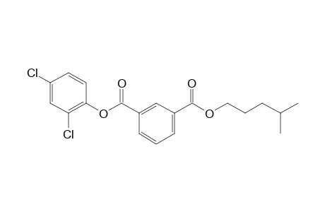 Isophthalic acid, 2,4-dichlorophenyl isohexyl ester