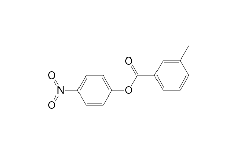 3-Methylbenzoic acid (4-nitrophenyl) ester