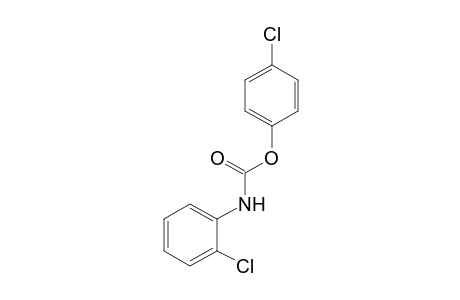 o-chlorocarbanilic acid, p-chlorophenyl ester