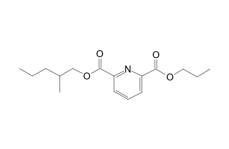 2,6-Pyridinedicarboxylic acid, 2-methylpentyl propyl ester