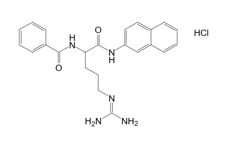 N-{4-GUANIDINO-1-[(2-NAPHTHYL)CARBAMOYL]BUTYL}BENZAMIDE,MONOHYDROCHLORIDE