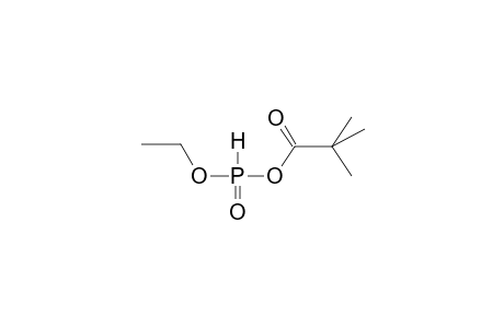 ETHYL(PIVALOYL)PHOSPHITE