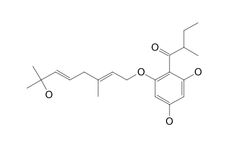 OLYMPICIN_B;4,6-DIHYDROXY-2-O-(7''-HYDROXY-3'',7''-DIMETHYL-2'',5''-OCTADIENYL)-1-(2'-METHYLBUTANOYL)-BENZENE