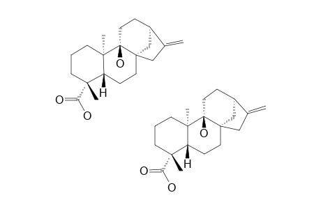 ENT-9-HYDROXY-KAUR-16-EN-19-OIC-ACID