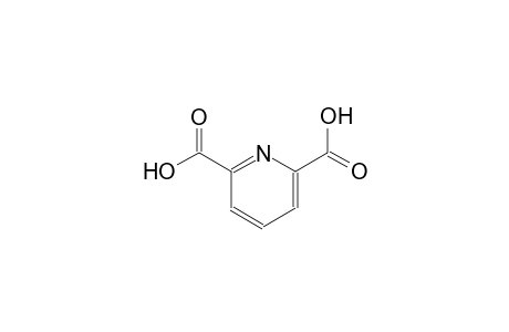 2,6-Pyridine dicarboxylic acid