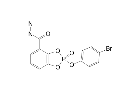 2-(4-Bromophenoxy)-1,3,2-benzo-dioxa-phosphole-4-carbohydrazide-2-oxide